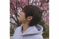 元Aぇ!groupの福本大晴「timelesz加入じゃだめ?」“コンプラ違反”で退所後、X開設で集まるSexy Zone改名後…