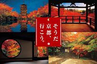 JR東海「そうだ 京都、行こう。」は今年で30年！専任カメラマン高崎勝二さんが撮り続けた京都社寺“至宝の…
