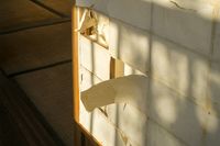 ごみ屋敷で毒親からネグレクト、空腹しのぎにたばこを食べた男性が達した境地