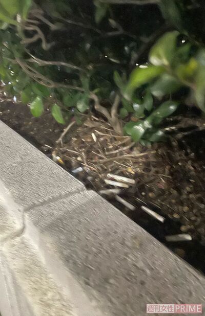 植栽にはタバコの吸い殻が大量に捨ててあった