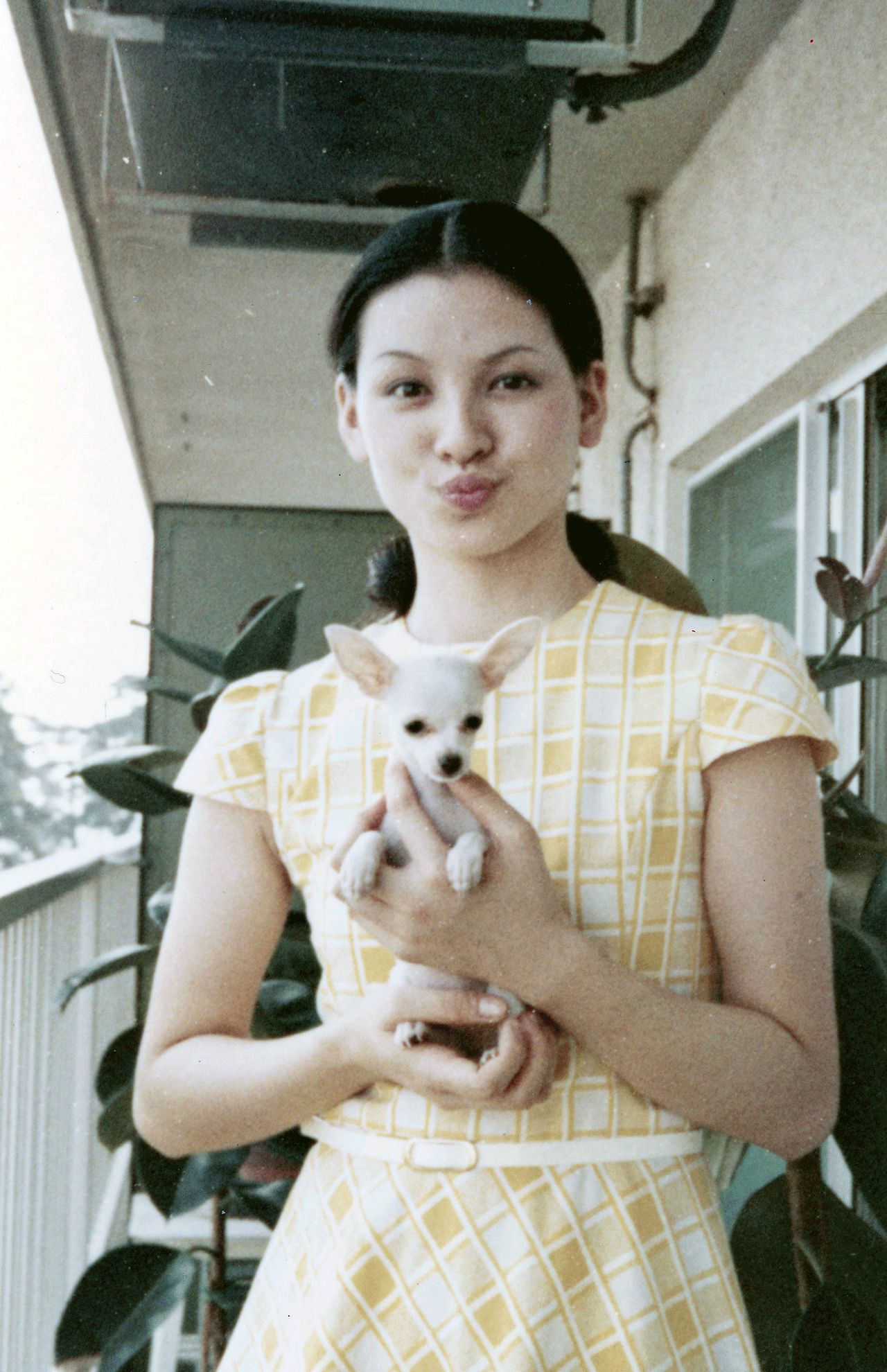 犬好きは今も昔も！犬を抱き抱える夏樹陽子