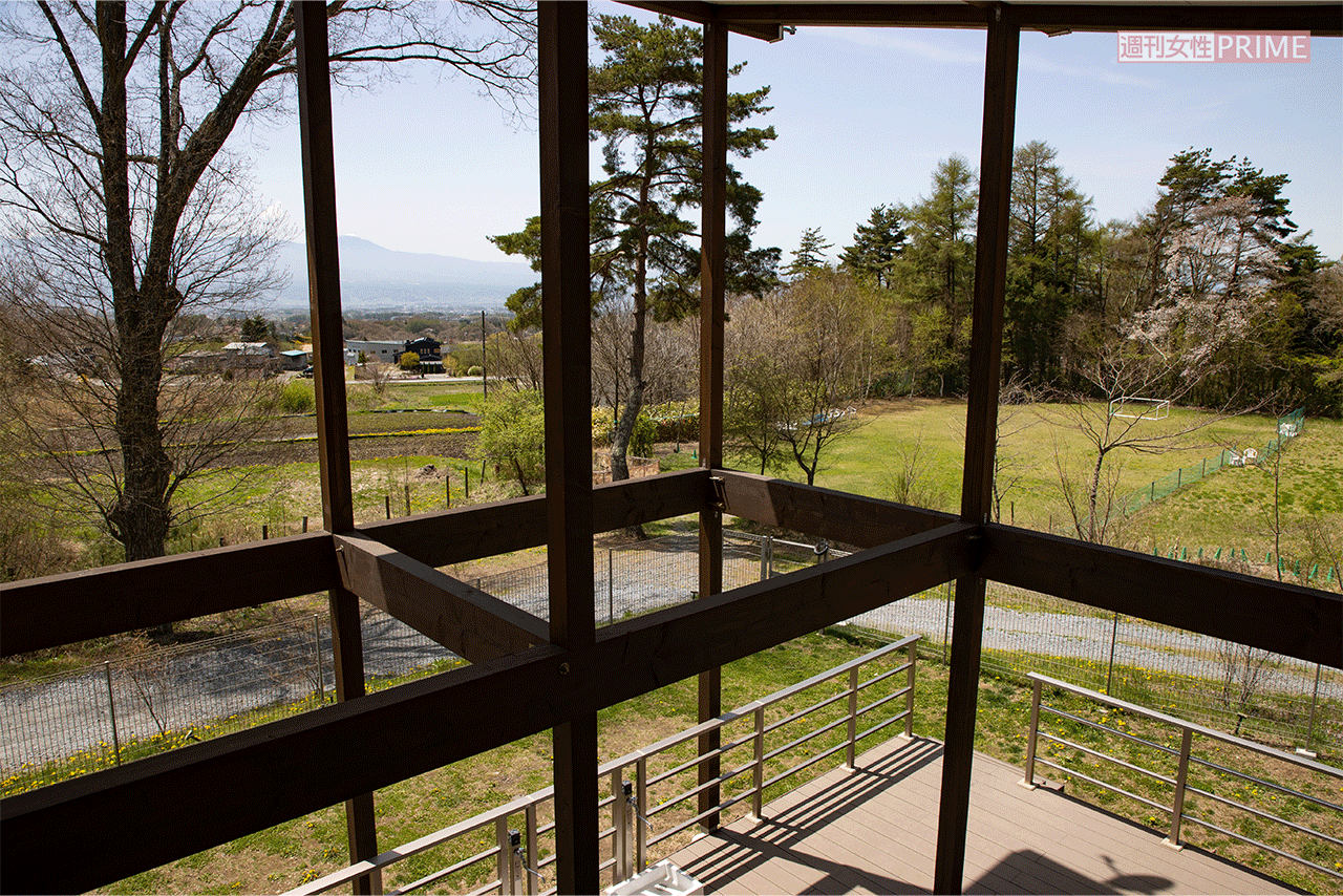 園舎から園庭を望む。敷地は5000坪あり、のびのびとした理想的な環境