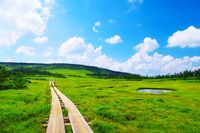 祝・山の日施行「初めての山歩き」プロに聞く“道具選び”の目からウロコ