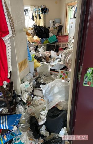 奥には動物を入れるケージやキャリー。散らかった部屋で飼育しているケースもあるという。糞尿は片づけられずネグレクト状態の場合も