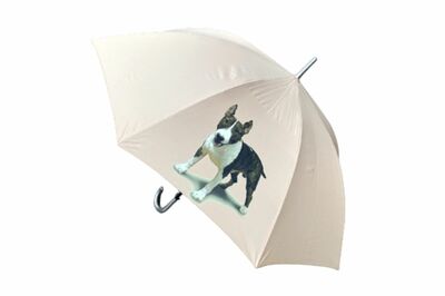 ブルテリア（P）傘65cm直径110cm男女兼用雨傘。憂鬱な雨の日でも、キュートなブルテリア柄で楽しく過ごせそう！