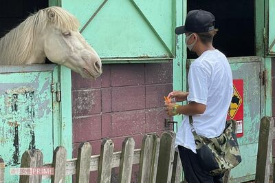 女性と牧場デートを楽しんでいた大野智