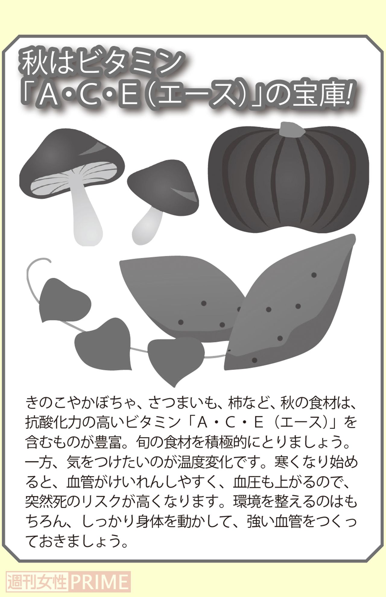 秋はビタミン「A・C・E（エース）」の宝庫！