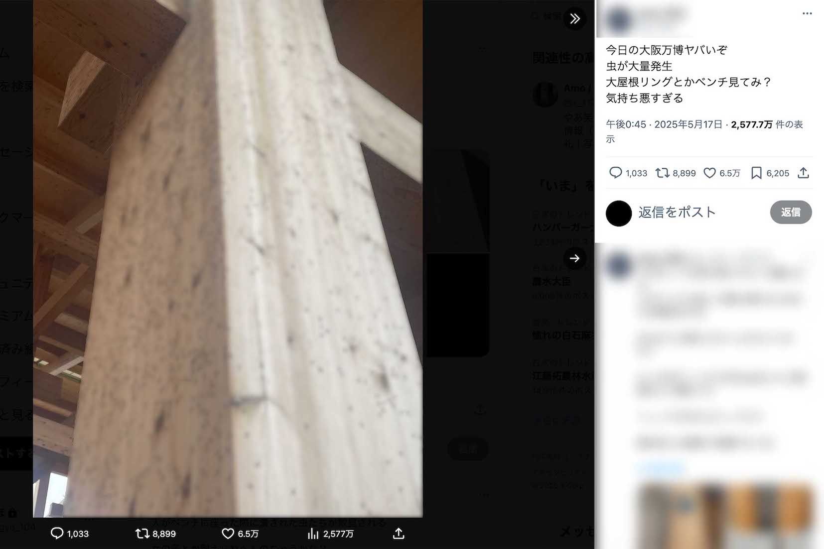 大屋根リングの木製の柱などに小さな虫が大量に発生している様子がアップされている（Xより、画像は一部編集部でモザイク加工）