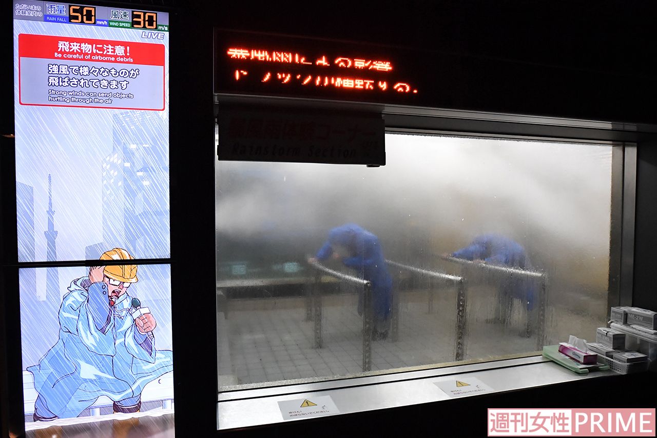 実際には飛来物にも警戒が必要だ　撮影／渡邉智裕