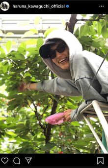 熱愛の川口春奈と矢地祐介、さくらんぼ園デートの様子を時間差でアップ（インスタグラムより）