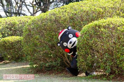 キュートなサンタコスプレで登場！ くまモン的「今年の漢字」を大発表