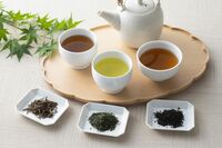 医師が実践する「10秒お茶うがい」喉のイガイガ、インフルエンザ、新型コロナの感染予防に！「茶カテキンが…