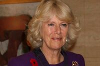 《英王室》カミラ王妃「魔性の女」から「勇敢な女王」への逆転劇！76歳にして5か月で60以上の公務、見え始…