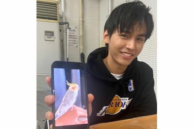 オカメインコを見せてくれるJaの無邪気な笑顔が尊い！