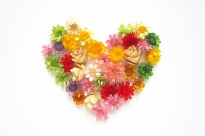 【心理診断】優先順位は恋人?自分? あなたの恋のドライ度は?