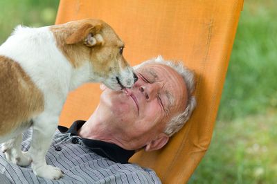 ペットセラピーに聞く「猫より犬がオススメ」ワンちゃんが発揮する高齢者の健康効果