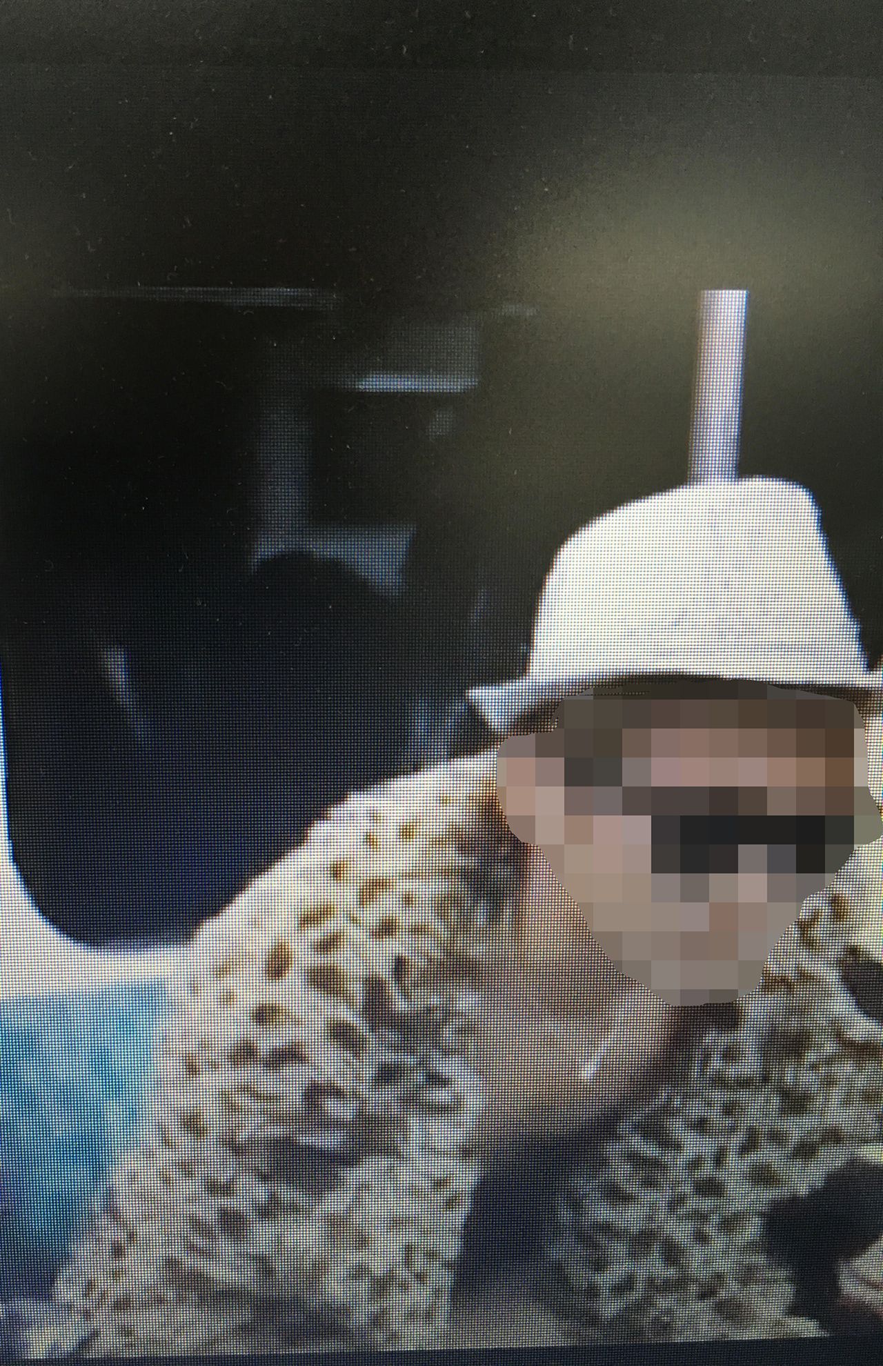 電車内でパンいを見せつける男性（インスタより）