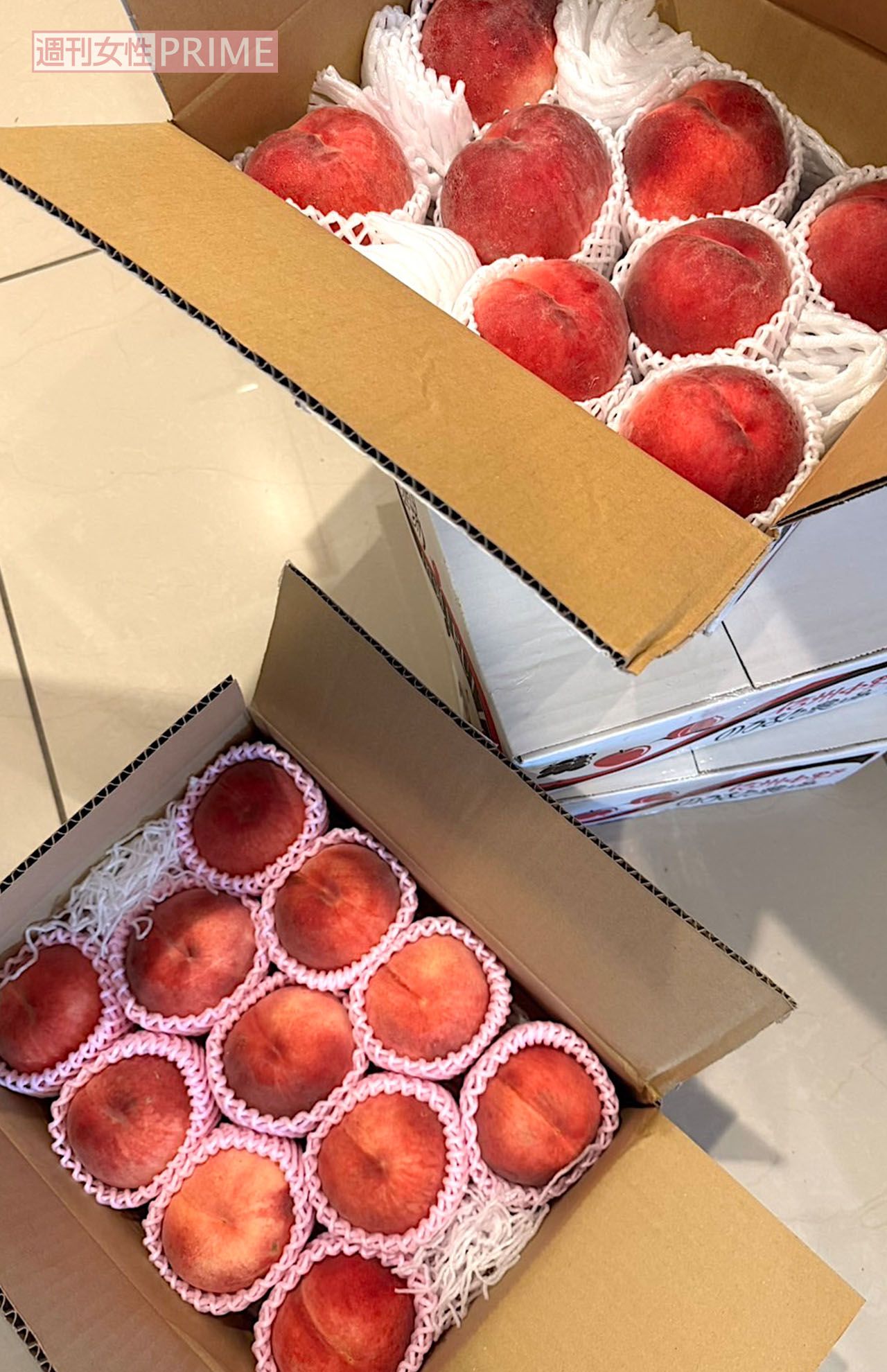 撮影／加藤綾菜