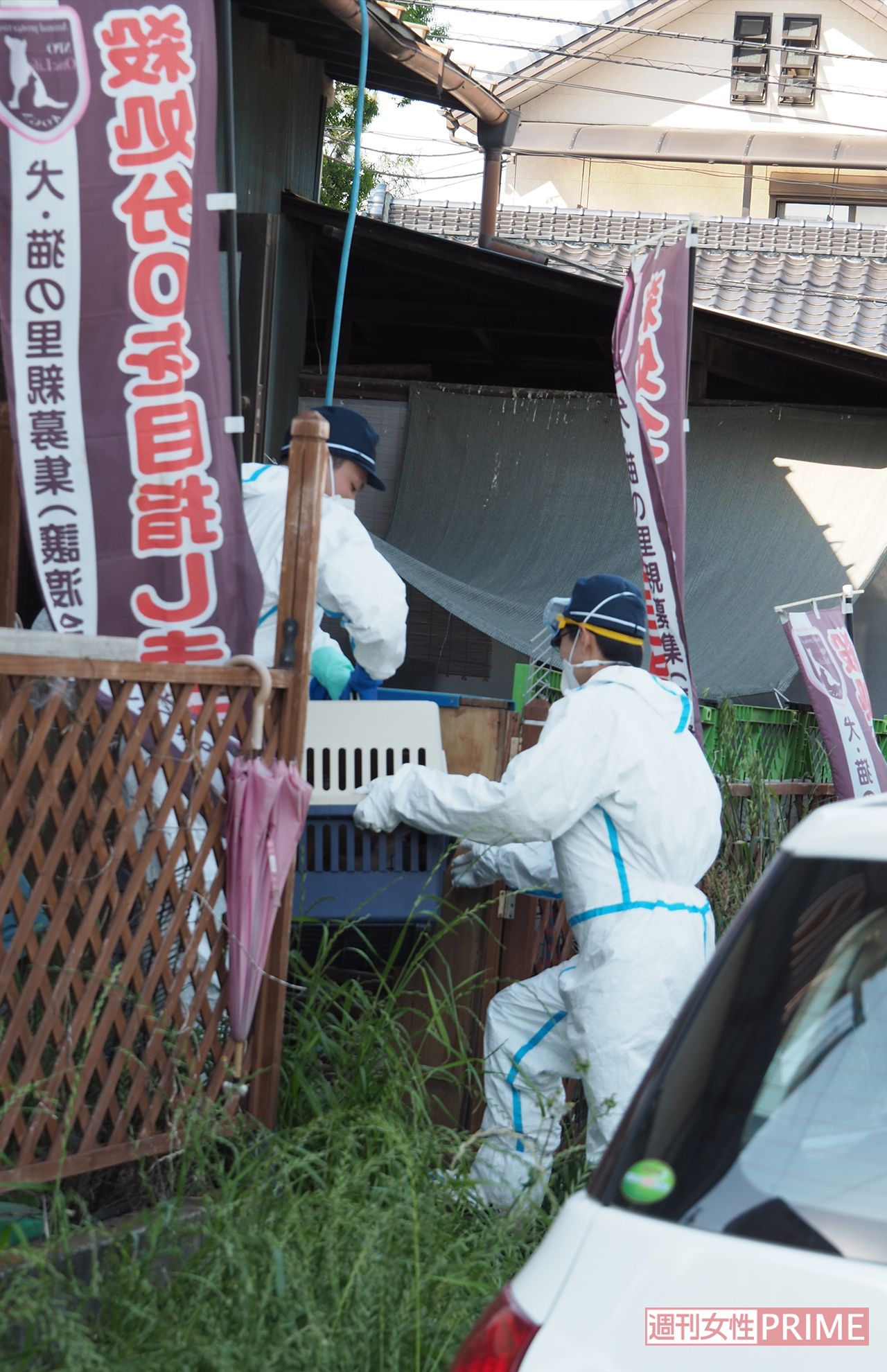 小型犬、大型犬、猫など大きさに応じたケージに入れ、施設を数回往復していた（23日）