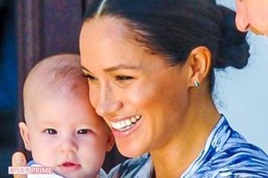 メーガン妃（専門家型）