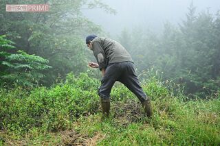 畑で山菜を摘む東出昌大。山小屋で過ごす期間は自炊はもちろん自給自足生活を行っている