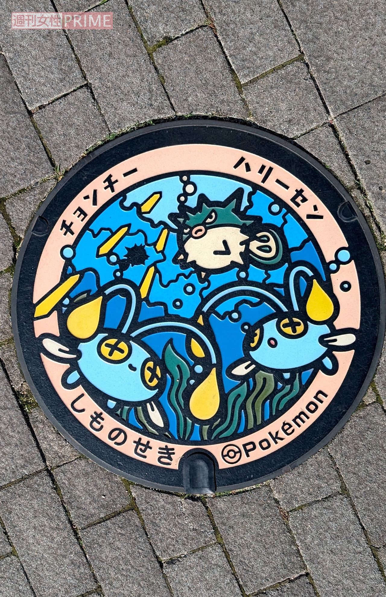 山口県下関市のポケふた　撮影／編集部