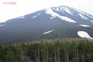 冬には別の顔を見せる富士山