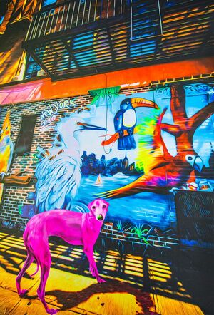 情熱を感じる色使いの加納典明による絵画作品