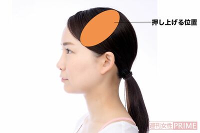 側頭骨押し上げの押し上げる位置　モデル／いはらようこ（ミューズ）　撮影／菅沢健治