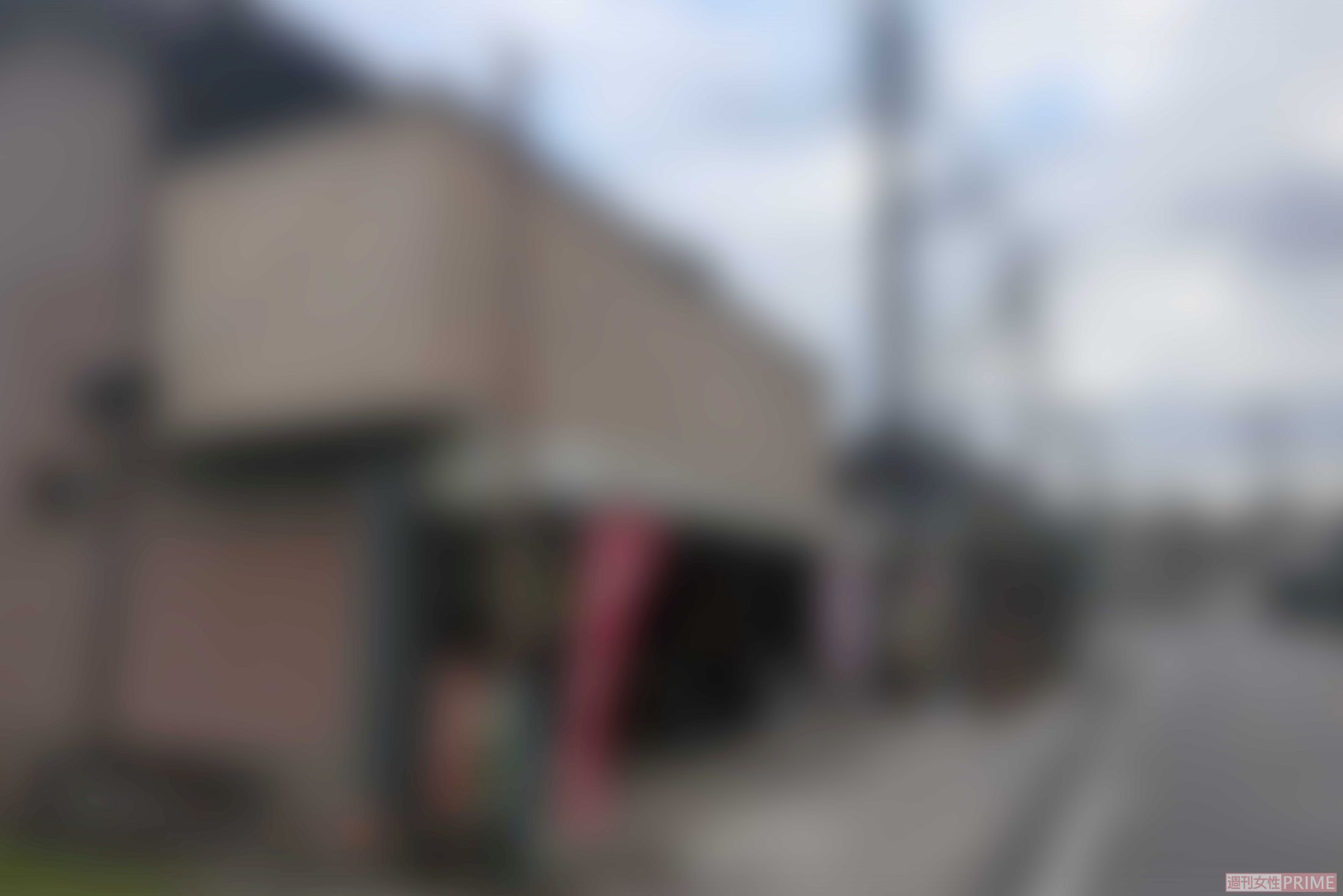 《茨城県古河市》唇縫い付け事件、被害者が駆け付けた商店
