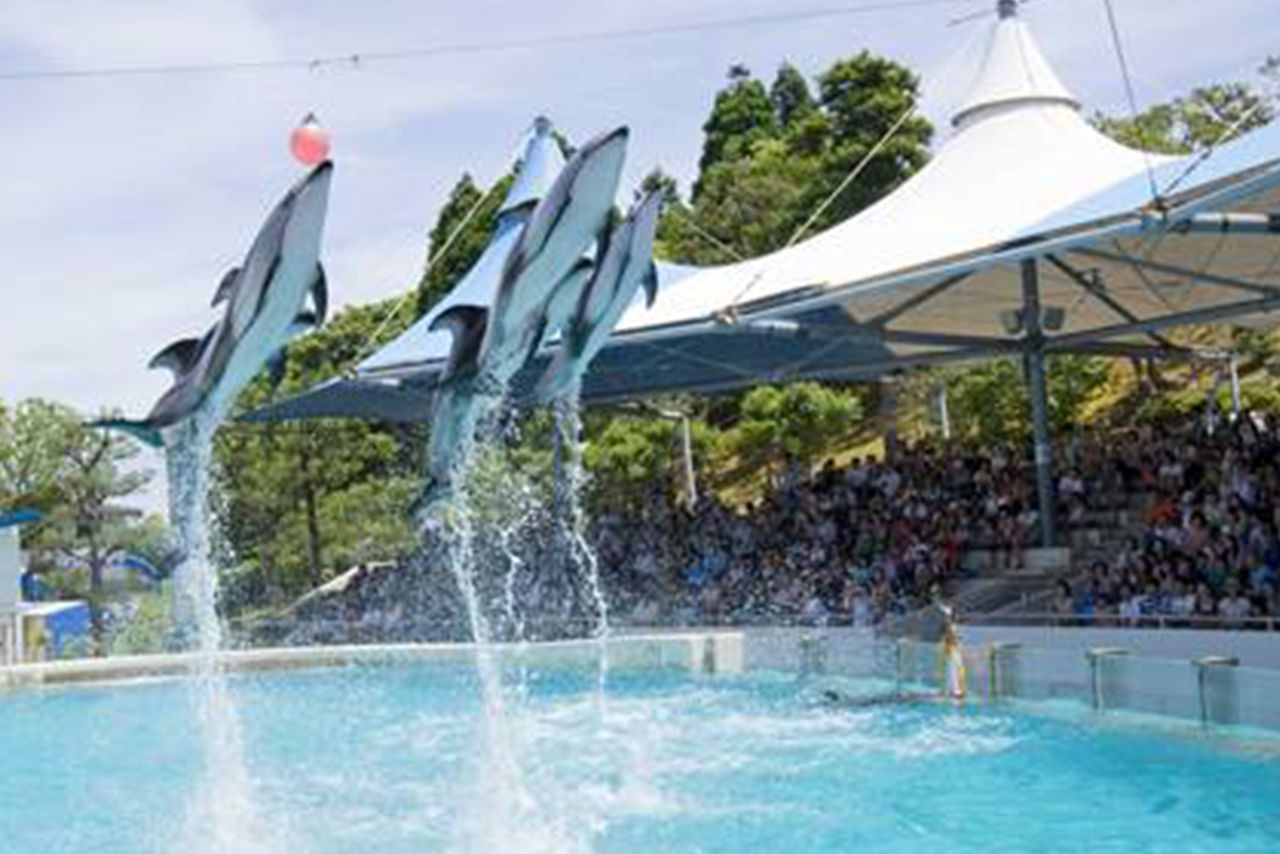 『のとじま臨海公園水族館（のとじま水族館）』公式HPより