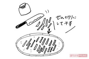 洗って水けをきってから、皮ごとせん切りにして、平らなざるに広げて、日なたに干すだけ。せん切りの太さを変えたり、ピーラーで薄切りにしても。　イラスト/やのひろこ