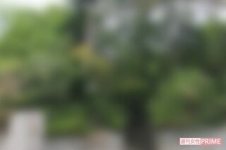 山下八洲夫容疑者の自宅。樹木に覆われた家屋は路上から見えない