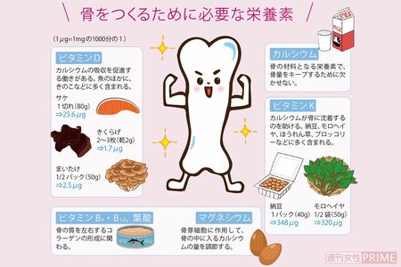 骨をつくるために必要な栄養素