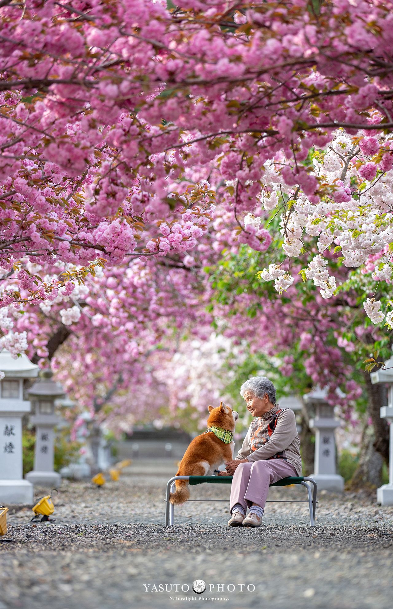 「また来年もここに」そんな強い思いを込めて　提供：YASUTO
