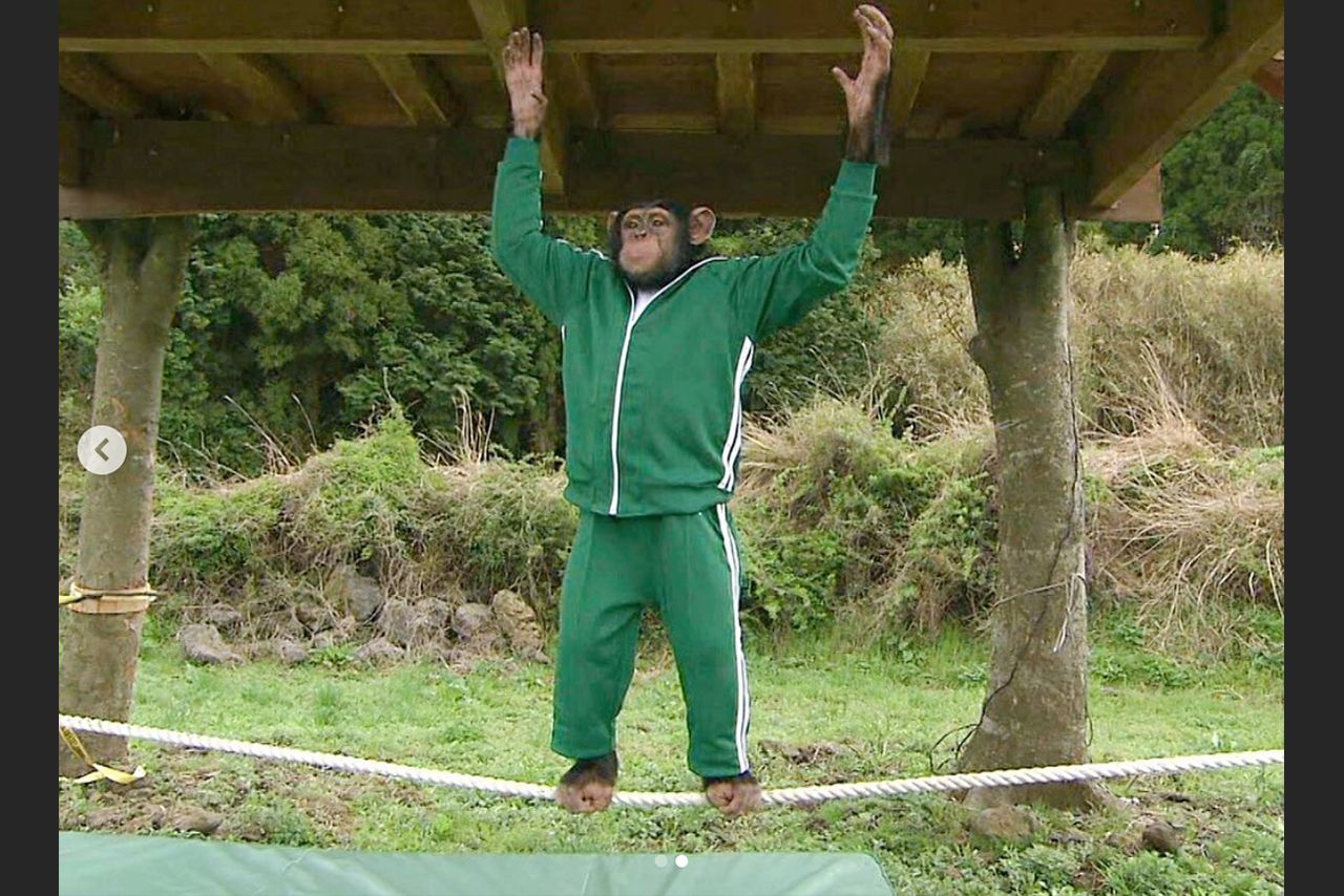 ロープの上に2足で立つパンくん（公式インスタグラムより）