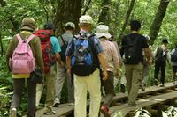 ツアー添乗員は見た！騙された新郎に夫婦交換、男同士の部屋から変な声…トンデモ客の珍エピソード