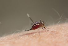 ※写真はイメージです