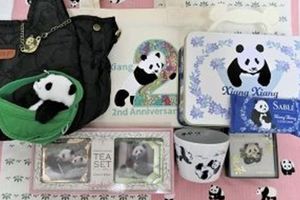 シャンシャンの中国行きを前に「わすれな草」をデザインしたお菓子や、キルティングでシャンシャンを表現したバッグ（写真：筆者撮影／東洋経済オンライン）