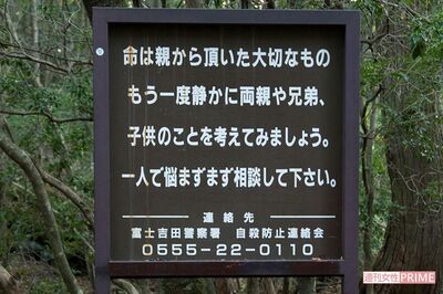 「死体を育てていますよ」首吊り遺体が骨になるまで観察し続ける“樹海マニア”の狂気