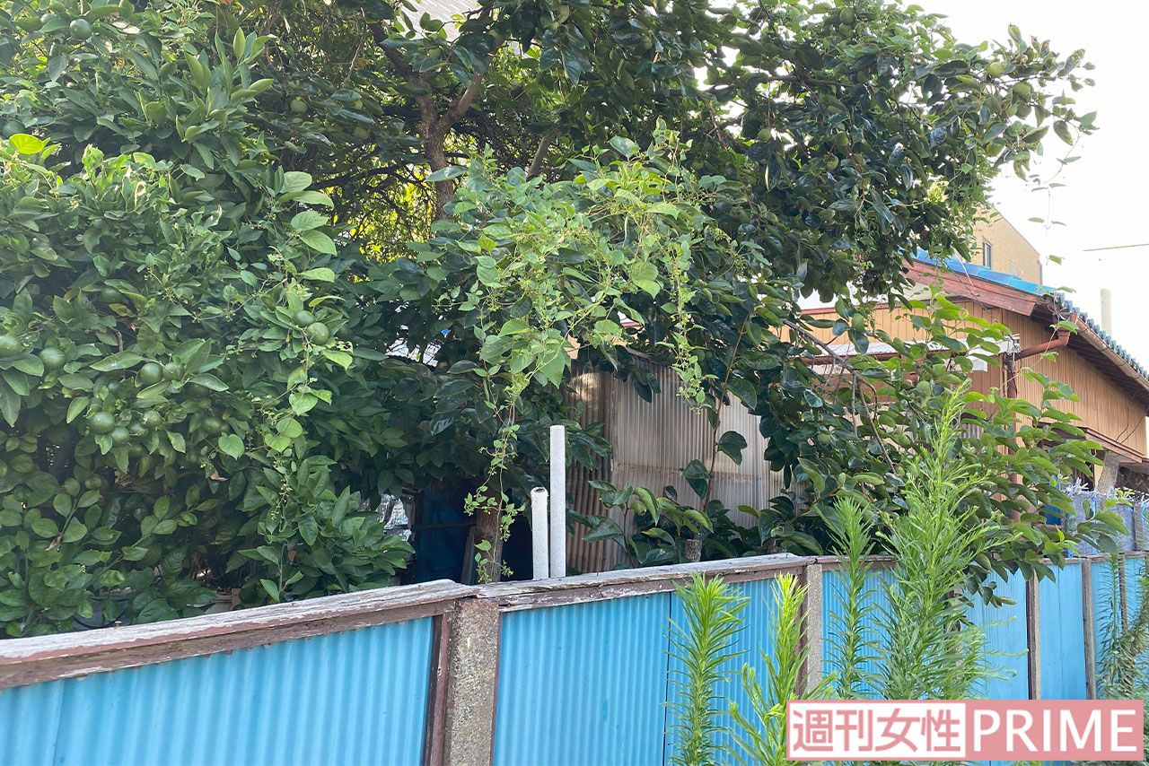 千葉市花見川区で母子が2人で住んでいた家の周囲にはうっそうとした樹木が
