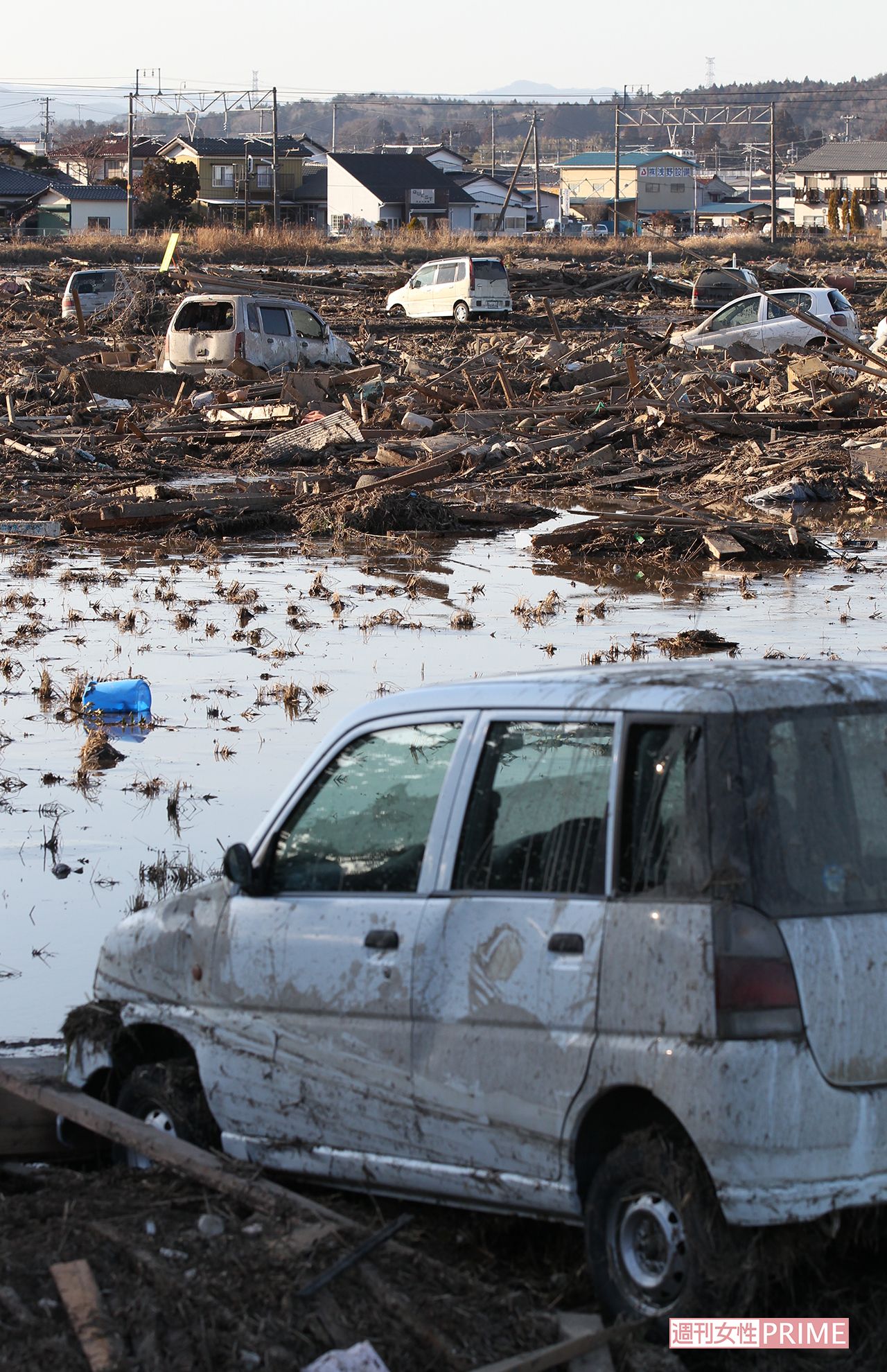 泥は粘着質で、一度ついた泥はなかなか落とせない（2011年3月12日）