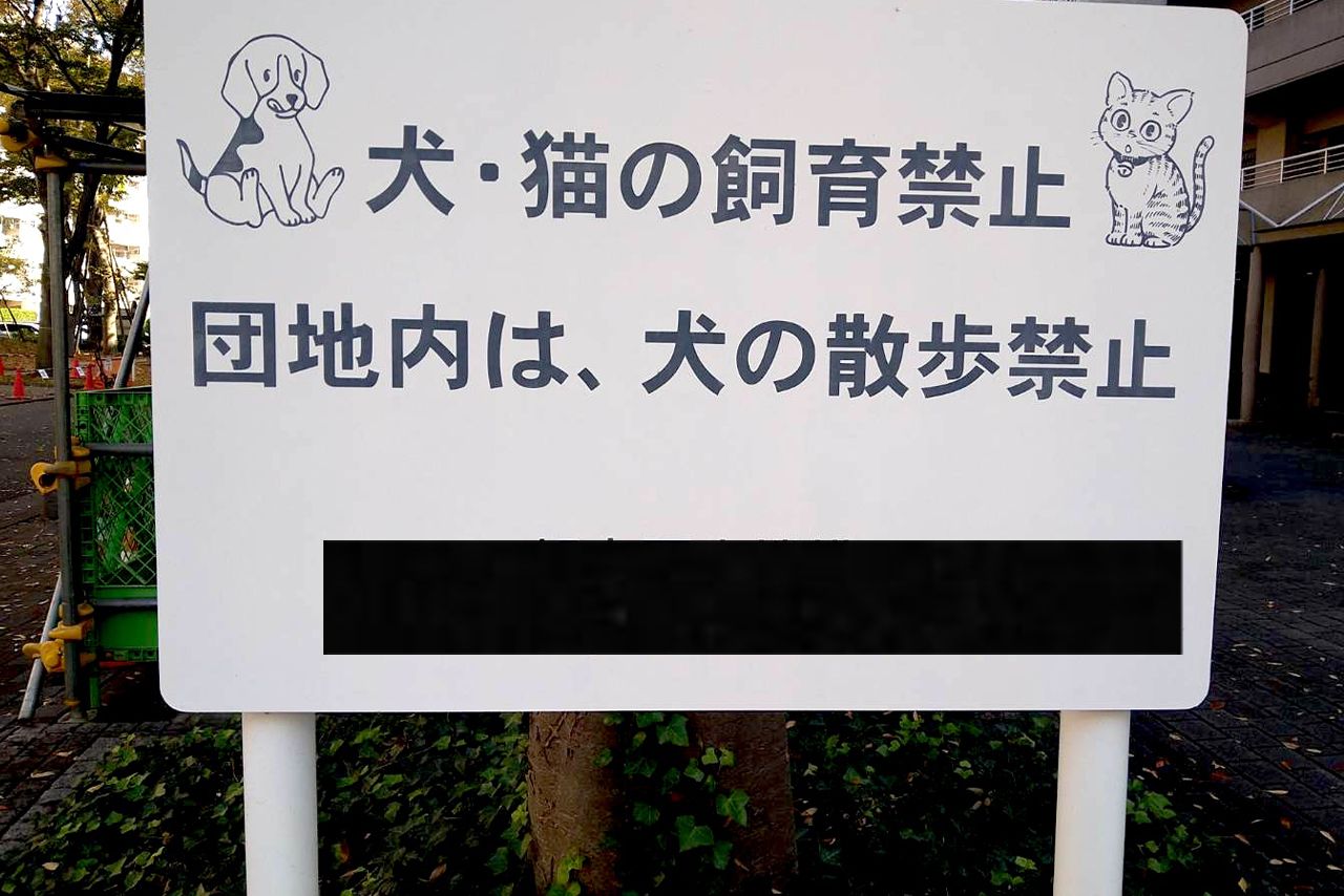 秋田容疑者の自宅兼事務所のある都内マンション