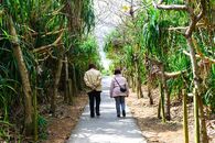 【心理診断】追いかける“虫”で判明! あなたの「怖がり」チェック