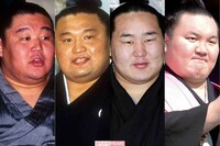 《心に残った「昭和・平成・令和のお相撲さん」ランキング》若貴兄弟、大鵬を抑えた圧倒的1位は“小柄”な…