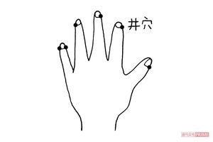 井穴（せいけつ）5本の指の爪の付け根の際にあるツボ。イラスト／水口アツコ