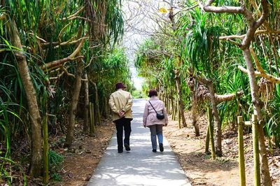 【心理診断】追いかける“虫”で判明！ あなたの「怖がり」チェック　