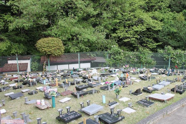 ご遺族のペットへの思いが綴られた墓石
