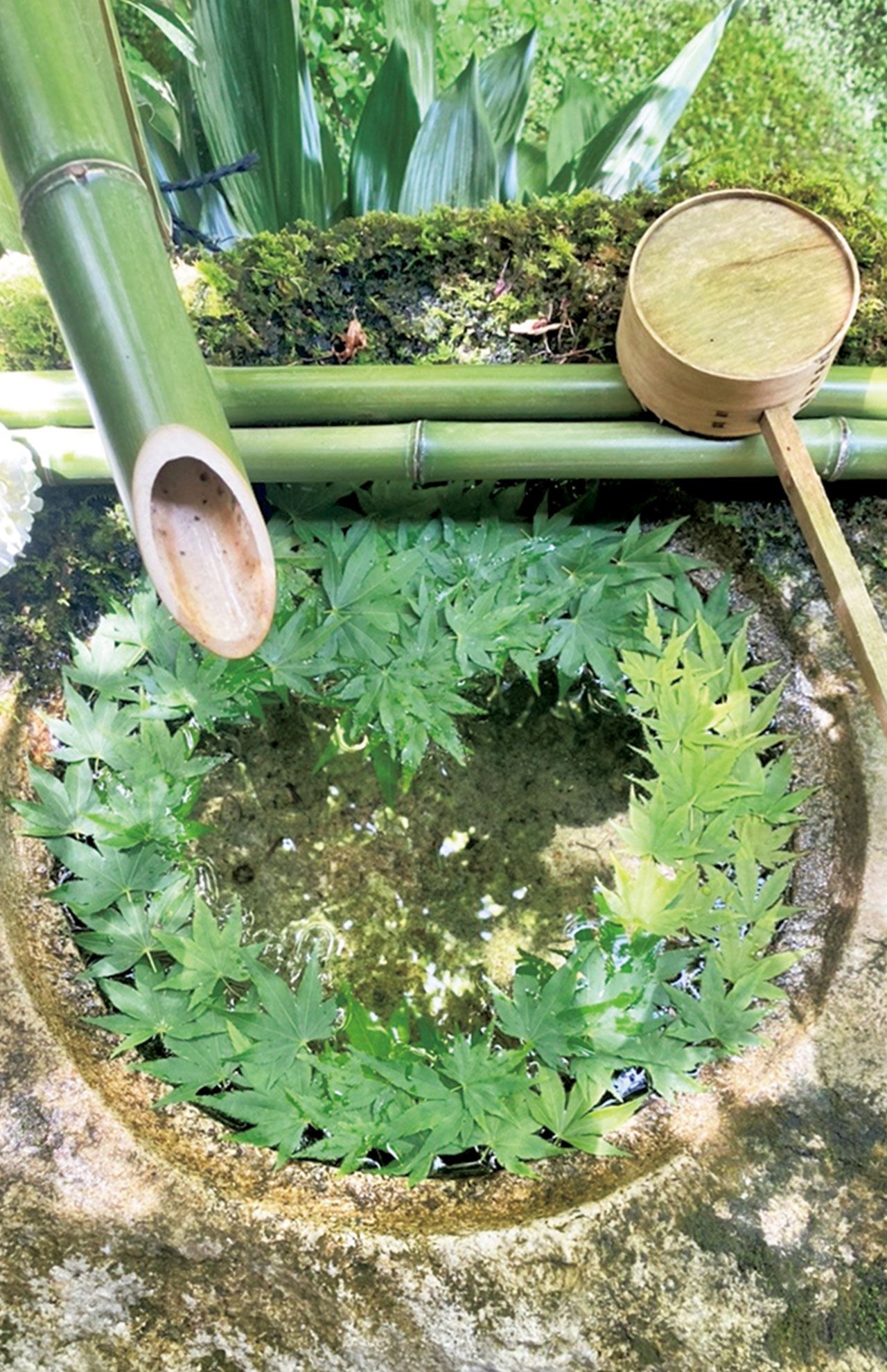 今年5月。青紅葉でハートをさわやかに描いた。「ハートを作るのは住職の担当なんです。雨1粒でハートが崩れるので大変みたいです」