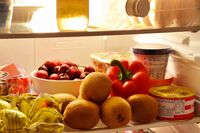 食材は1円もムダにしない、料理のプロが冷凍貯金で年6万円の節約に成功！買い出し前の写メで“ダブり買い”…